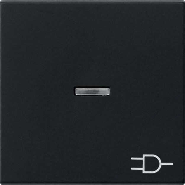 Gira 0209005 Wippe Kontrollfunktion + Symbol Steckdose System 55 Schwarz matt
