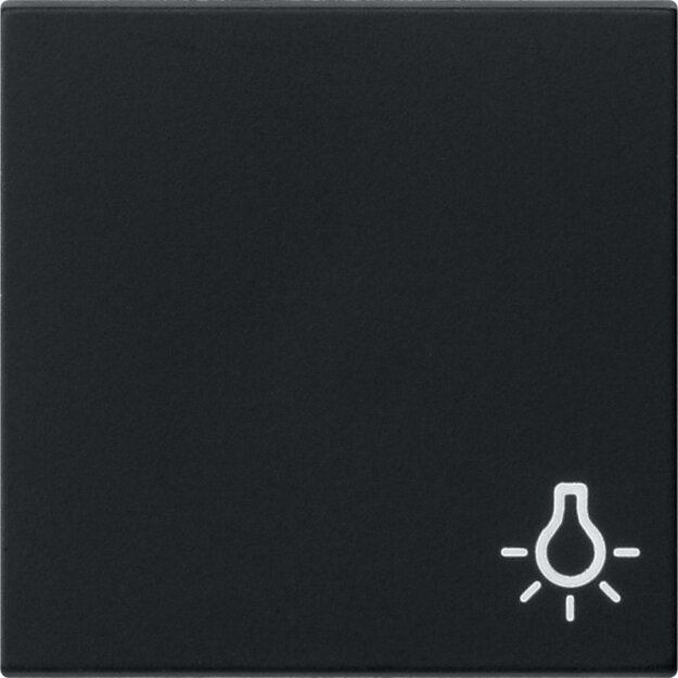 Gira 0285005 Wippe Symbol Licht System 55 Schwarz matt