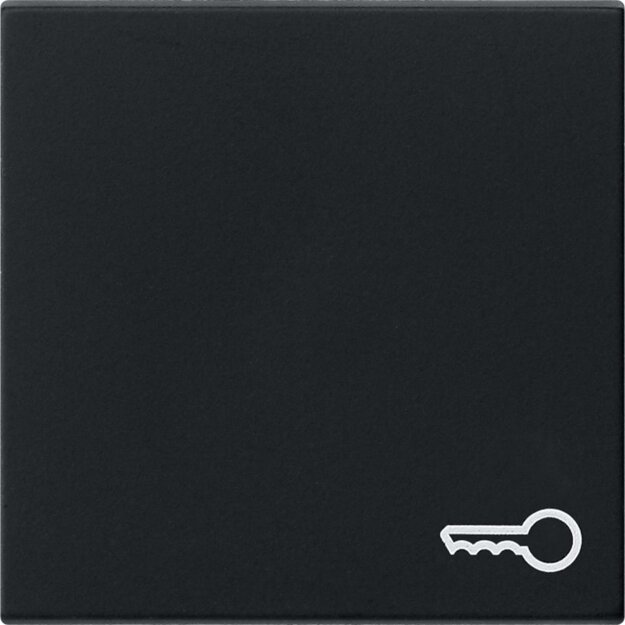 Gira 0287005 Wippe Symbol Tür System 55 Schwarz matt