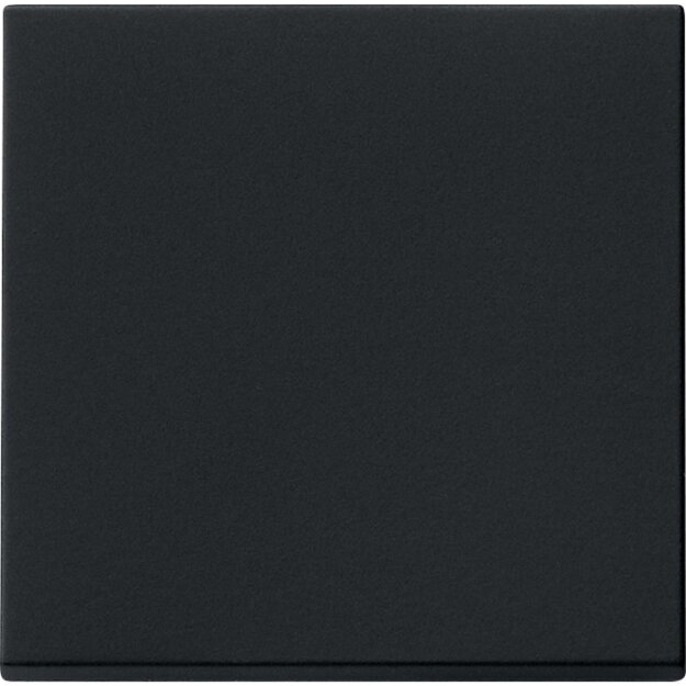 Gira 0296005 Wippe System 55 Schwarz matt