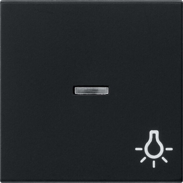 Gira 0674005 Wippe Kontrollfunktion + Symbol Licht System 55 Schwarz matt