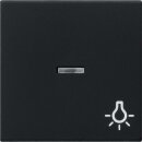 Gira 0674005 Wippe Kontrollfunktion + Symbol Licht System...