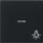 Gira 0674005 Wippe Kontrollfunktion + Symbol Licht System 55 Schwarz matt