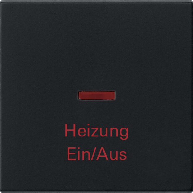 Gira 0678005 Wippe Kontrollfunktion + Heizung Ein/Aus System 55 Schwarz matt