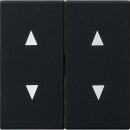 Gira 1150005 Wippe 2-fach Pfeilsymbole System 55 Schwarz...