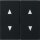 Gira 1150005 Wippe 2-fach Pfeilsymbole System 55 Schwarz matt