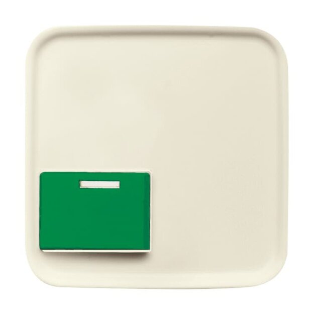 Busch-Jaeger 2548-642 C-212-101 Zentralscheibe 2CKA001724A4422