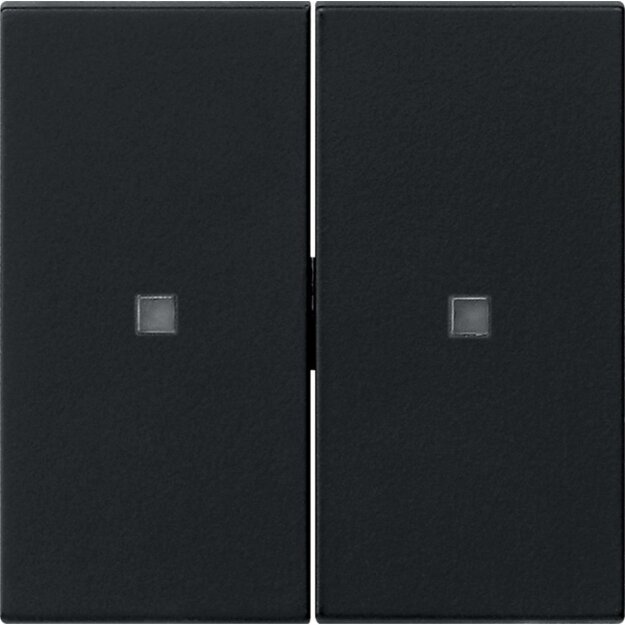Gira 5369005 S3000 Wippe 2-fach unbedruckt System 55 Schwarz matt