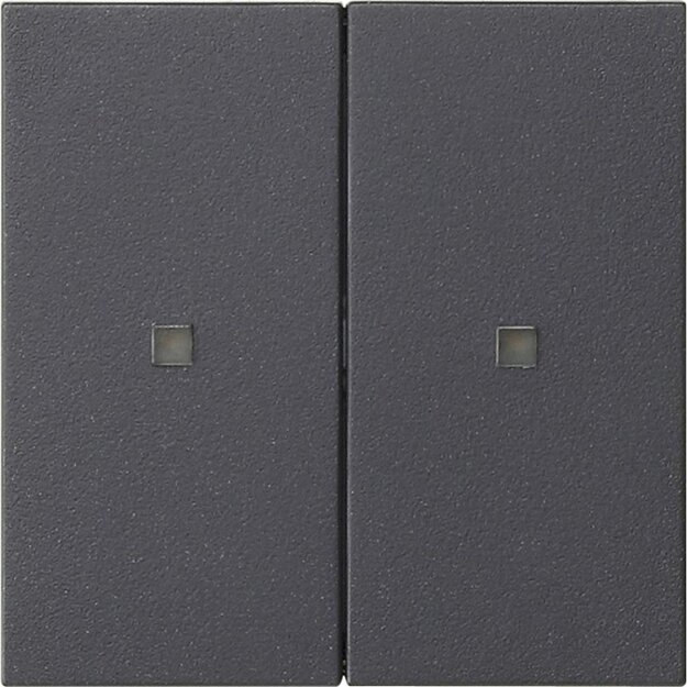 Gira 536928 S3000 Wippe 2-fach unbedruckt System 55 Anthrazit