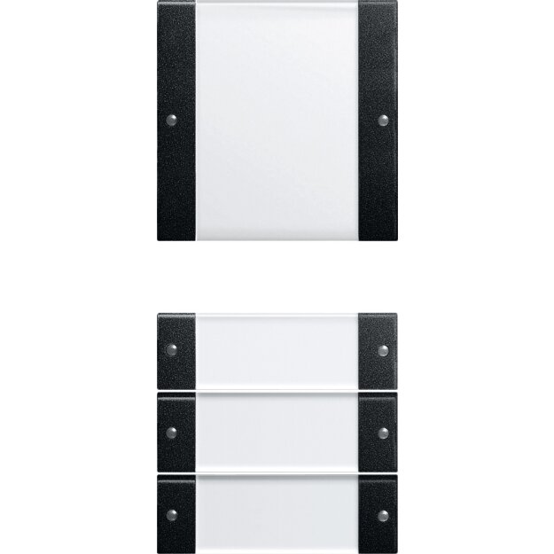 Gira 2134005 Wippenset 4-fach (1+3) Beschriftungsfeld System 55 Klar/Schwarz matt