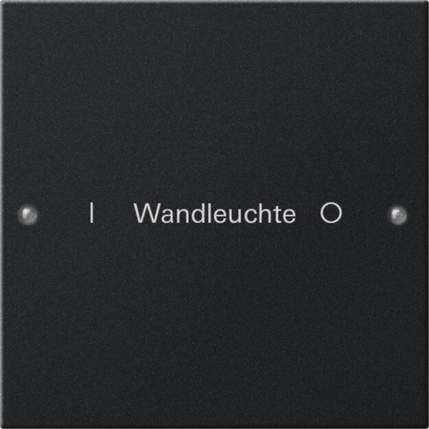 Gira 2201005 Wippenset 1-fach beschreibbar System 55 Schwarz matt(lackiert)