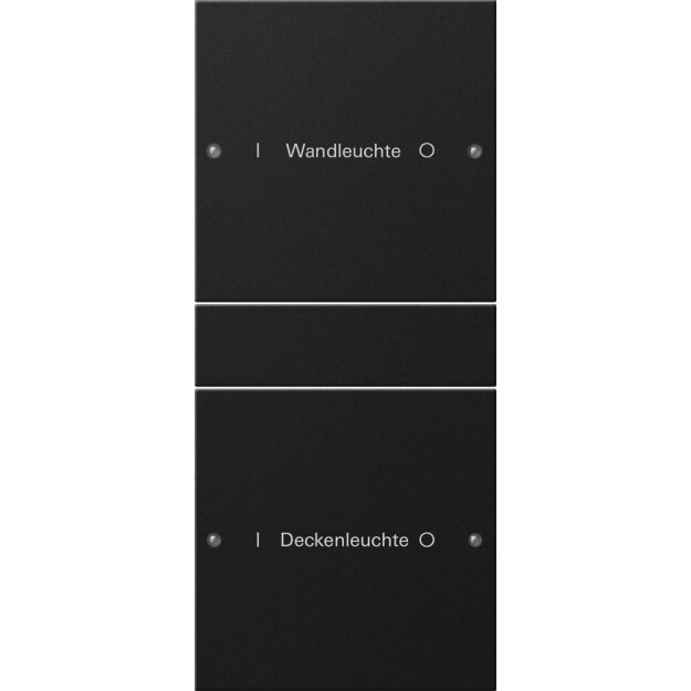 Gira 2202005 Wippenset 2-fach (1+1) beschreibbar System 55 Schwarz matt(lackiert)