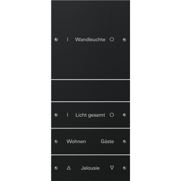 Gira 2204005 Wippenset 4-fach (1+3) beschreibbar System 55 Schwarz matt(lackiert)