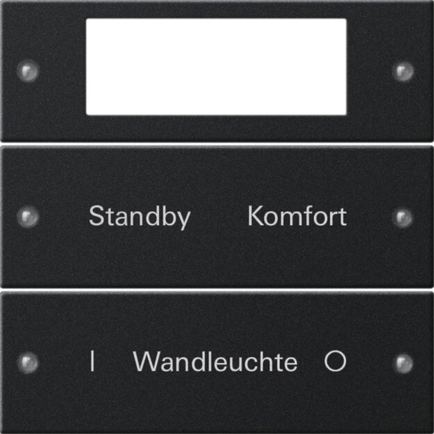 Gira 2212005 Wippenset 2-fach Plus beschreibbar System 55 Schwarz matt(lackiert)