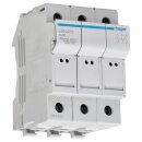 Hager LSN403 Sicherungselement 3-polig 25A 400V L32...