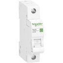 Schneider Electric Leitungsschutzschalter R9F24125 (1er)