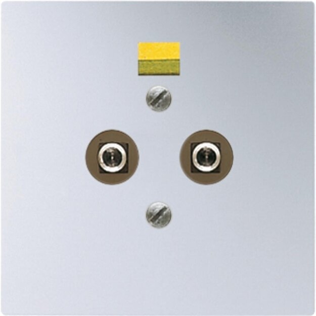 Jung AL2965-2 Potentialausgleich-Steckdose (lackiertes Aluminium) Aluminium Serie LS