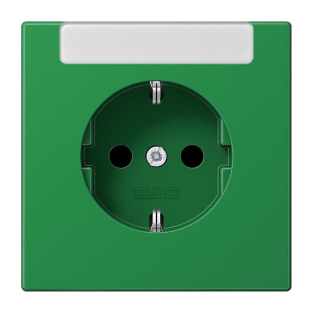 Jung LS1520INAGN SCHUKO® Steckdose NA Serie LS Grün