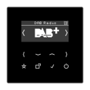 Jung DABLS1SW Smart Radio DAB+ Set Mono Schwarz