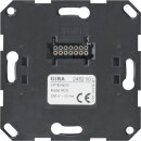 Gira 248200 Einsatz UP-Radio RDS Elektronik