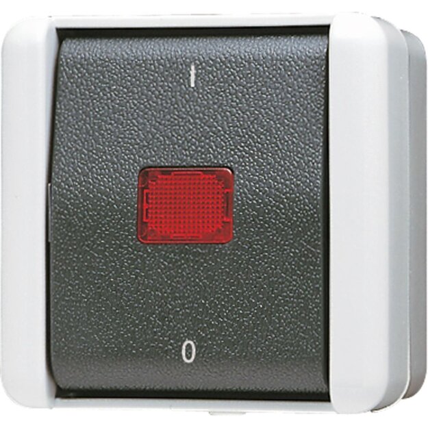 Jung 802KOW Wipp-Kontrollschalter 10 AX 250 V ~ Serie WG Aufputz