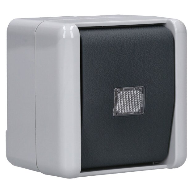 Jung 833W Taster 1-polig 10 AX 250 V ~ Serie WG Kalotte grau Aufputz
