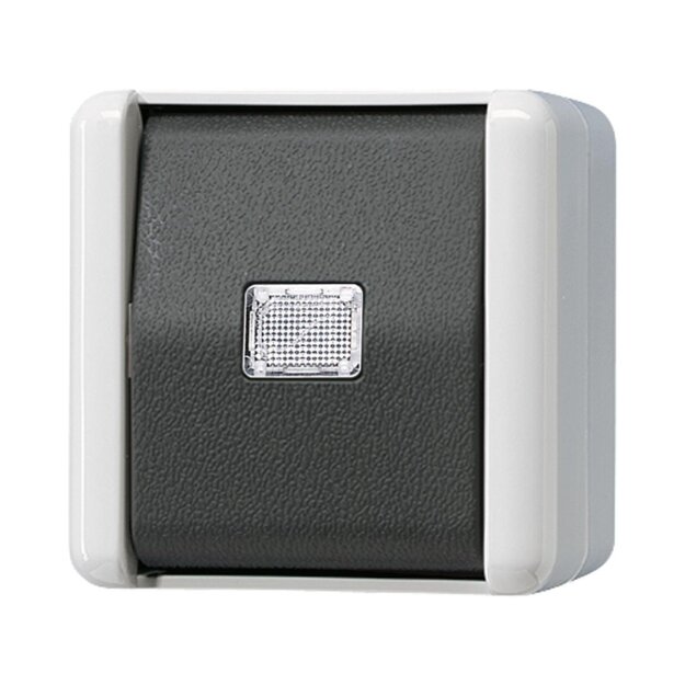 Jung 833-2W Taster 2-polig 10 AX 250 V ~ ohne Symbol Serie WG Aufputz
