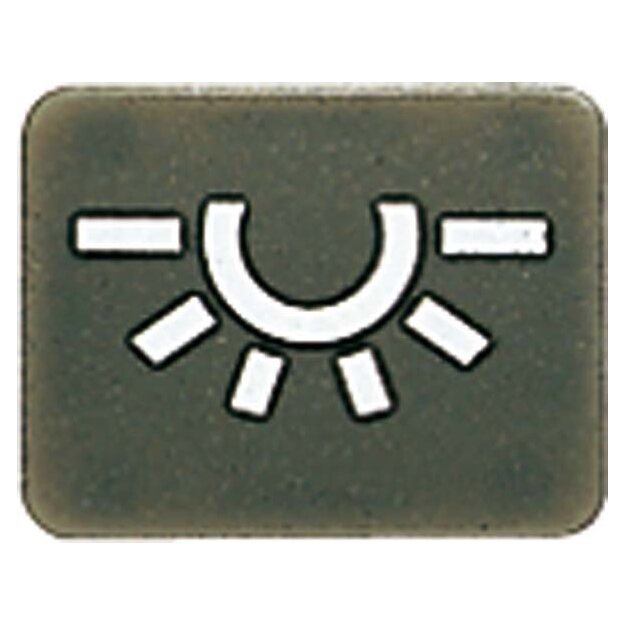 Jung 33ANL Symbole für WG 800 Anthrazit