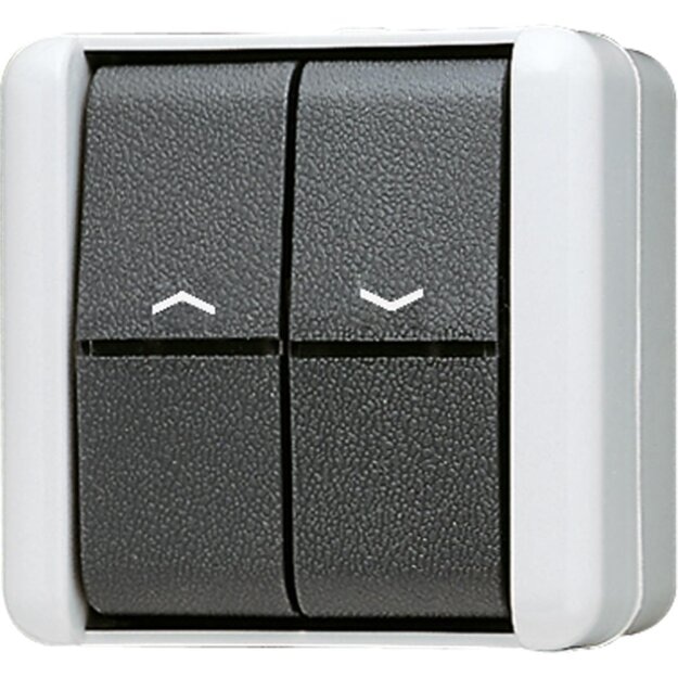 Jung 809VW Jalousie-Wippschalter 10 AX 250 V ~ Serie WG Aufputz