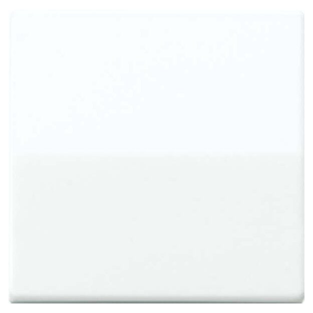 Jung ABAS1561.07F Kurzhubtaste m. Funkempfaenger (Duroplast antibakteriell) Weiß Serie AS