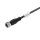 Weidmüller 1865871000 Sensor Aktor Leitung SAIL-M12BG-8-10U SAILM12BG8