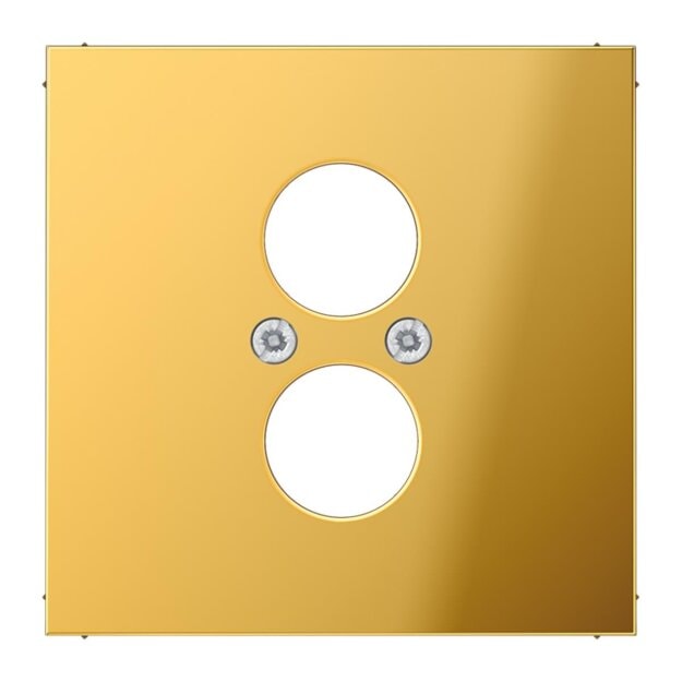 Jung GO2962-2 Abdeckung f. 2 Kleinsteckdosen (Metall PVD-beschichtet) Goldfarben