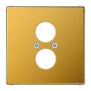 Jung LS962GGO Abdeckung f. 2 Kleinsteckdosen (Metall mit...