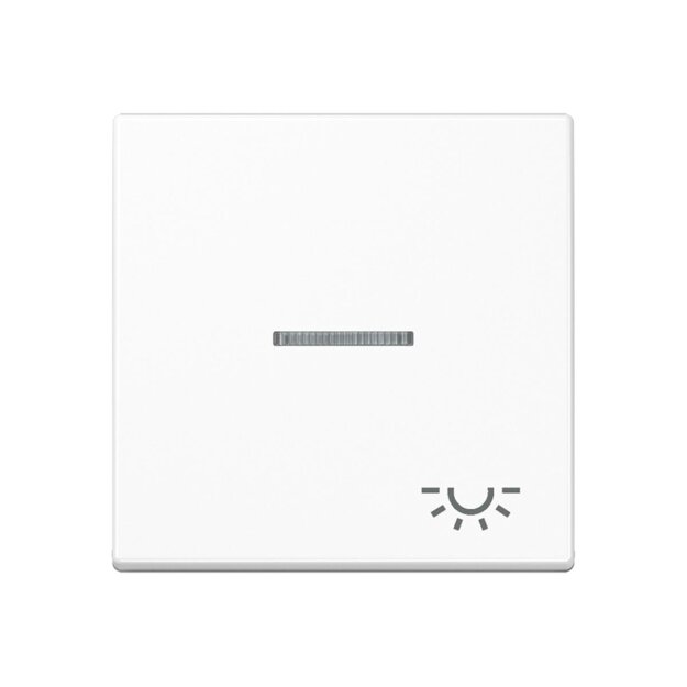Jung A590KO5LWW Wippe m. Symbol "Licht" KO (Duroplast) Alpinweiß Serie A