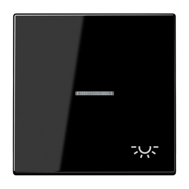 Jung LS990KO5LSW Wippe m. Symbol "Licht" KO Schwarz Serie LS