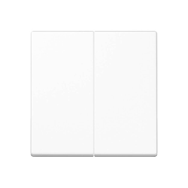 Jung A1702WW Steuertaste 2-fach Standard (Duroplast) Alpinweiß Serie A