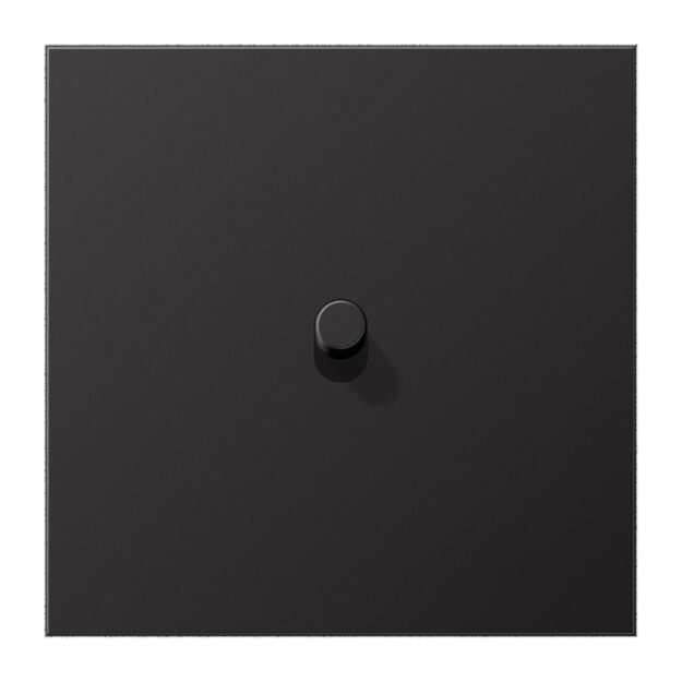 Jung AL12-0DR01 Abdeckung 1-fach mit 1 Kipphebel (lackiertes Aluminium) Dark Serie LS 1912