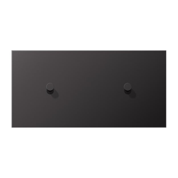 Jung AL12-200DK01 Abdeckung 2-fach waagrecht mit 1+1 Kipphebeln (lackiertes Aluminium) Dark Serie LS 1912