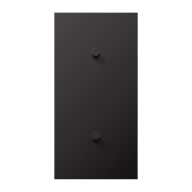 Jung AL12-20DK01 Abdeckung 2-fach senkrecht mit 1+1 Kipphebeln (lackiertes Aluminium) Dark Serie LS 1912