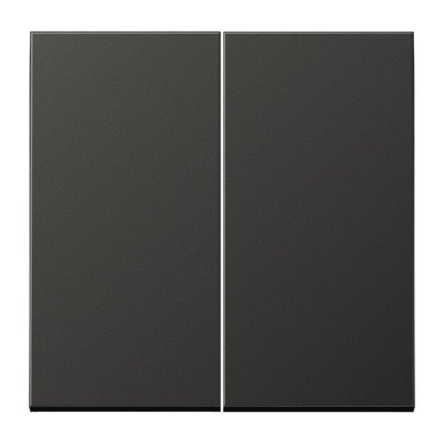 Jung AL1702AN Steuertaste 2-fach Standard (lackiertes Aluminium) Anthrazit Serie LS
