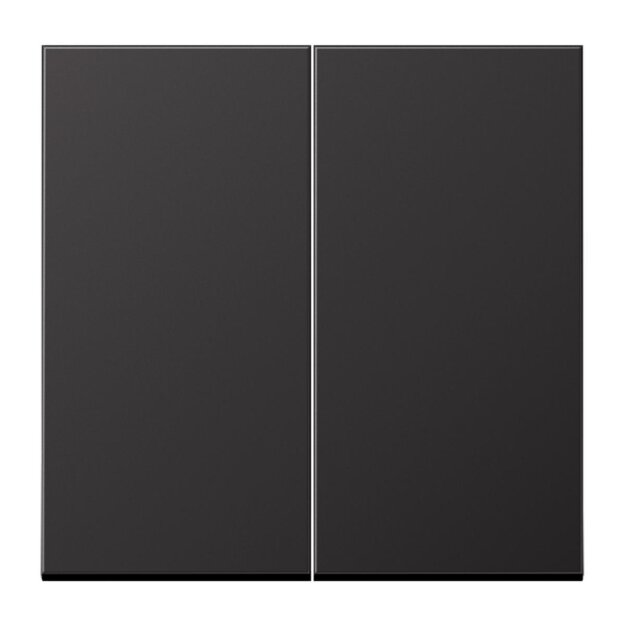 Jung AL1702D Steuertaste 2-fach Standard (lackiertes Aluminium) Dark Serie LS