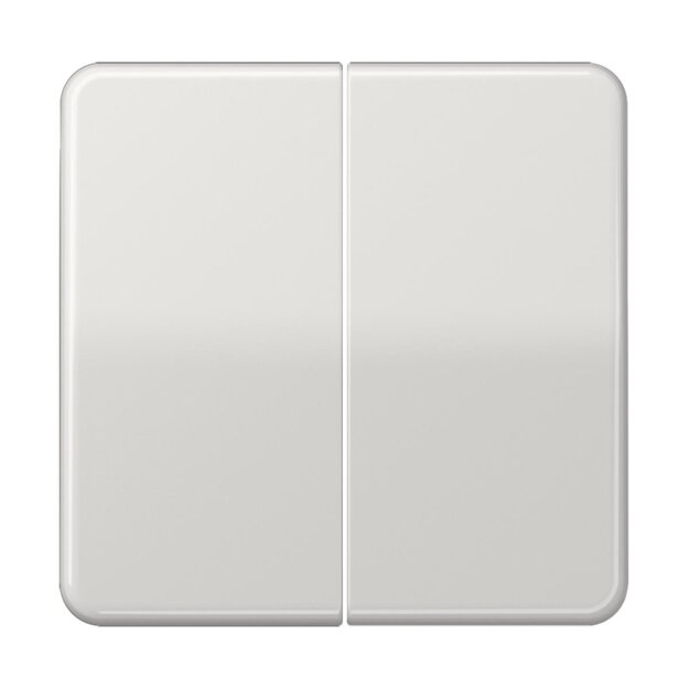 Jung CD1702LG Steuertaste 2-fach Standard Lichtgrau Serie CD