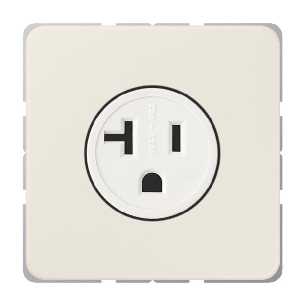 Jung CD521-20 US-NEMA-Steckdose Serie CD