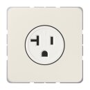 Jung CD521-20 US-NEMA-Steckdose Serie CD