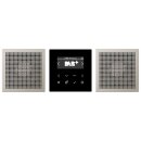 Jung DABES2 Smart Radio DAB+ Set Stereo