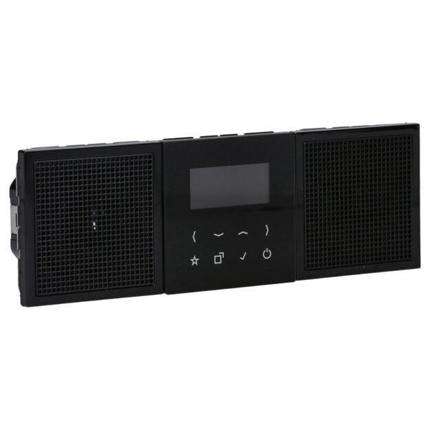 Jung DABLS2BTSW Smart Radio DAB+ mit Bluetooth - Set Stereo Schwarz