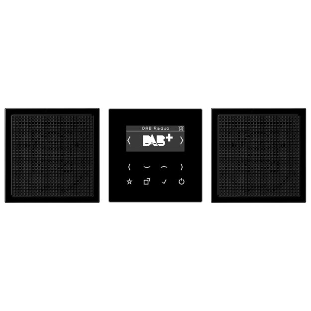 Jung DABLS2SW Smart Radio DAB+ Set Stereo (Duroplast) Schwarz