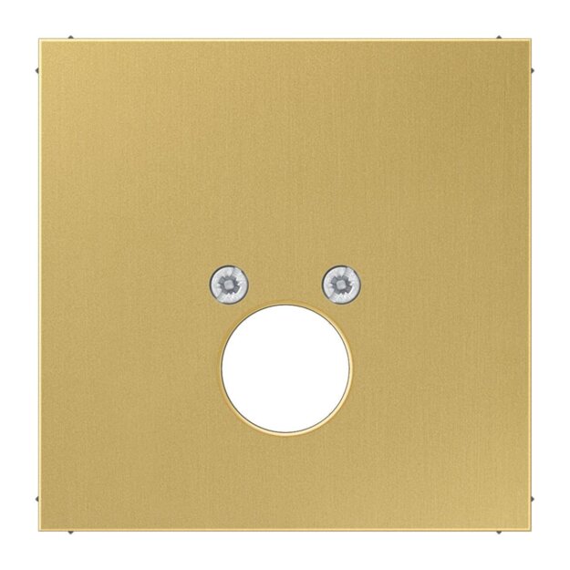 Jung ME2962-1C Abdeckung f. 1 Kleinsteckdosen (Messing) Messing Serie LS