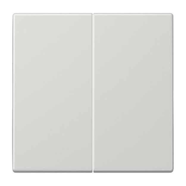 Jung LS1702LG Steuertaste 2-fach Standard Lichtgrau Serie LS
