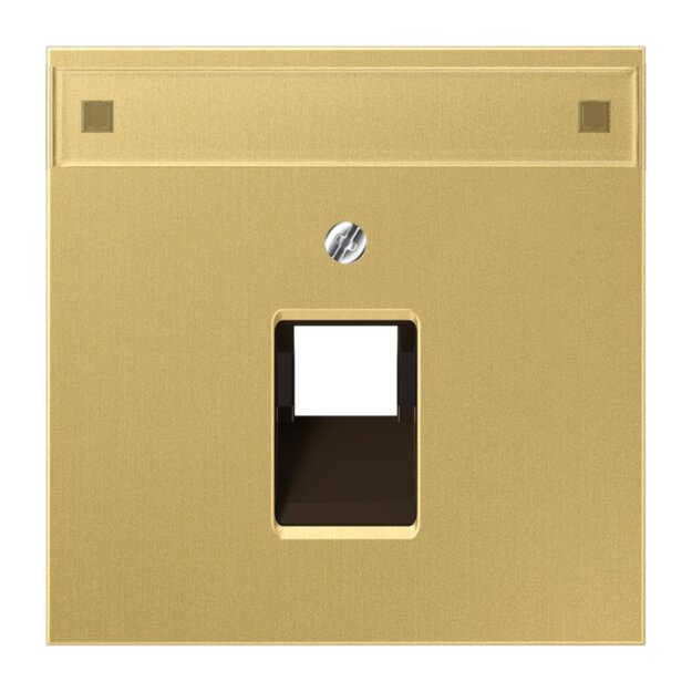 Jung ME2969-1NAUAC Abdeckung f. IAE/UAE-Anschlussdose (Messing) Messing Serie LS